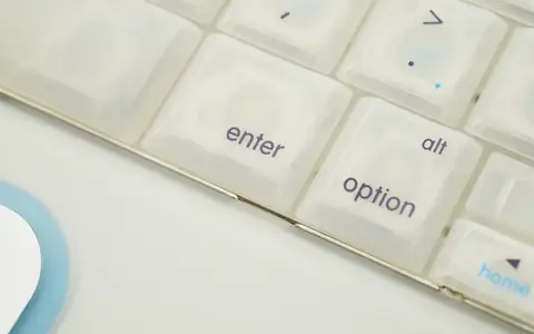 Next.js installieren und live schalten