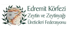 Federasyon referansı