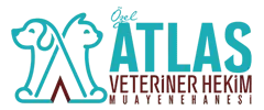 Atlasv referansı